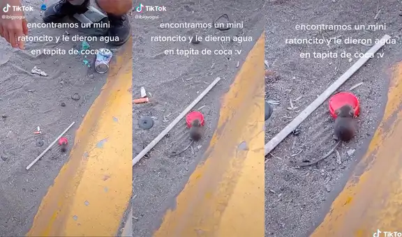 Motorizados encuentran a un ratón bebé y le sirven agua en una tapa para que se hidrate