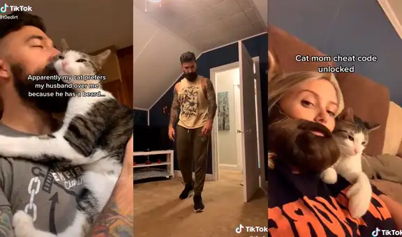 Nota que su gato prefiere a su dueño y usa una barba falsa para ‘competir’ por su cariño