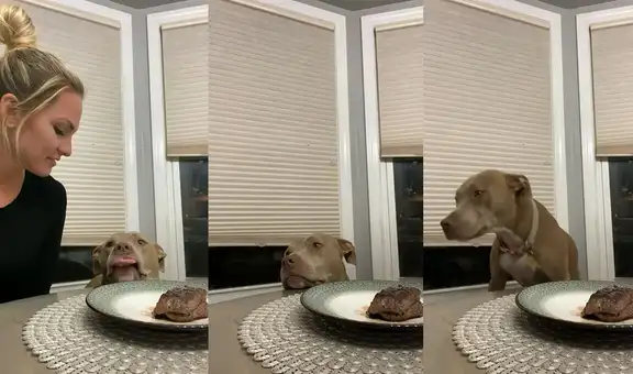 Mujer pone a prueba a su perrito para ver si se come el plato de bistec encima de la mesa
