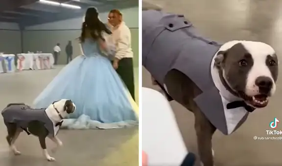 Perrito acompaña en fiesta de quinceaños de su dueña y se convierte en su ‘chambelán’