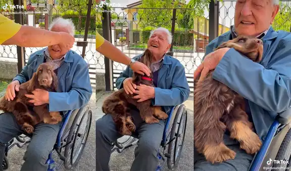 Adulto mayor conoce al perrito que adoptaron en su hogar y se convierten en grandes amigos