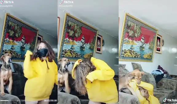 Perrito evita que su dueña realice un reto de baile al jugar con su cabello