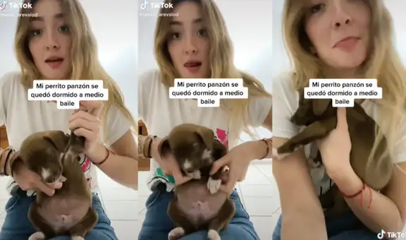 Tierno perrito se queda dormido cuando su dueña intentaba hacerle bailar