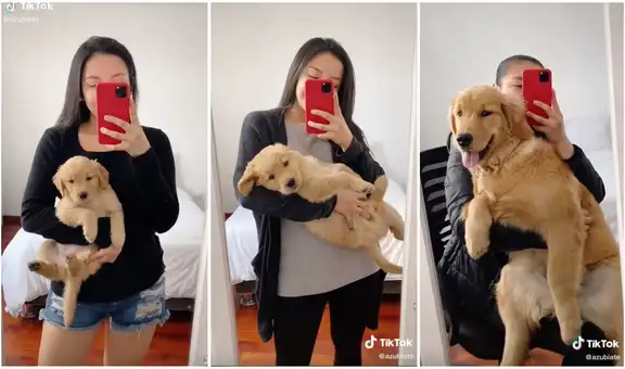 Mujer asombra con el acelerado crecimiento de su cachorra a una perrita adulta en 12 meses