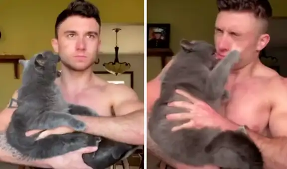 Gato tiene la costumbre de arañar a todos y su dueño descubre una técnica para evitarlo