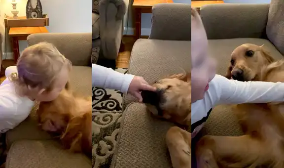 Bebé demuestra su cariño por perrito dándole besos mientras este toma una siesta