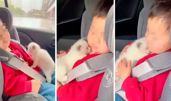 Gatito ‘abraza’ al hijo de sus dueños para cuidarlo durante su paseo al verlo dormido