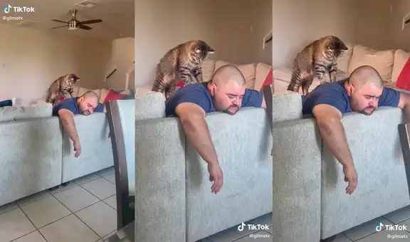 Mujer se percata que su tierno felino adora darle un ‘masaje’ a su querido cuidador