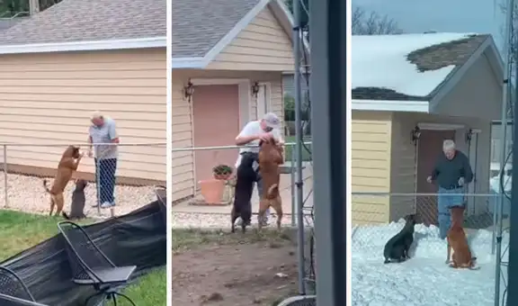 Anciano visita a los perritos de su vecina para jugar y se convierten en ‘grandes amigos’ 