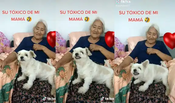 Perrito ‘celoso’ no permite que se acerquen a su dueña y se la lleven de su lado
