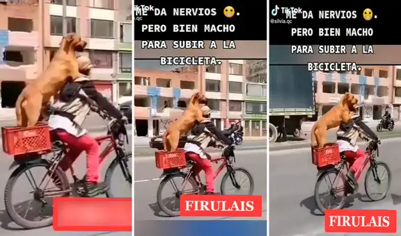 Perro aprende a subir a la bicicleta de su dueño para salir con él de paseo