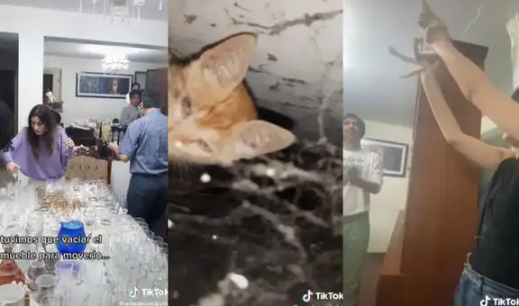Gato queda atrapado en un agujero y familia mueve su armario de cristalería para salvarlo