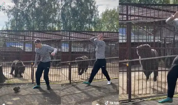 Oso en Rusia sorprende con su peculiar paso de baile a más de 79 millones de usuarios