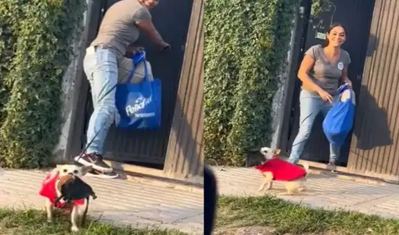 Perro salta de emoción cada vez que su dueña lo recoge de guardería canina