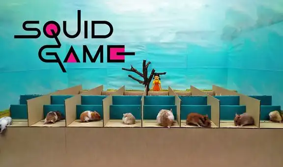 Hámsteres se enfrentan a retos en un video que recrea El juego del calamar en versión diminuta