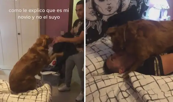 Perrita se emociona cuando el novio de su dueña la visita y corre para ‘abrazarlo’