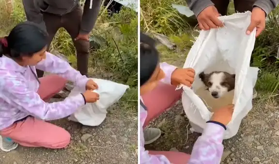 Rescatan a perrito en mal estado que fue abandonado dentro de un costal en la calle