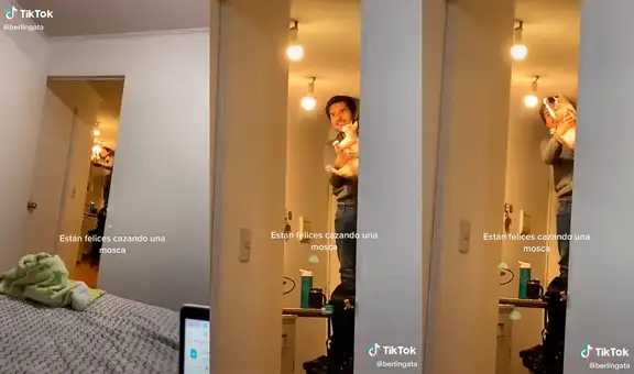 Joven descubre que su novio carga a su gata y le enseña a atrapar moscas con la patita