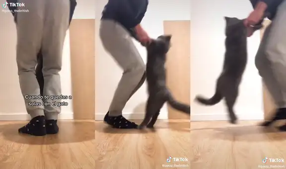Hombre y su gatito disfrutan de baile ‘Tra tra’ de Don Chezina cada vez que tienen tiempo libre