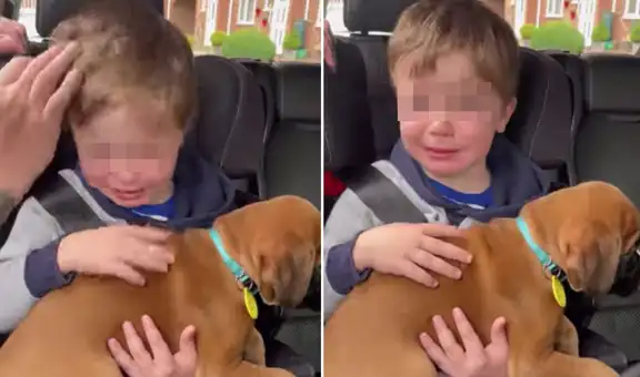Niño llora de emoción al cargar a su primer perrito y lo abraza muy fuerte