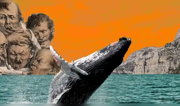 Vómito de ballena: ¿por qué esta sustancia vale más que el propio oro?