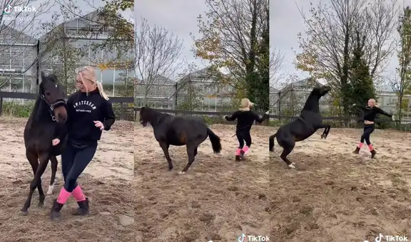 Caballito baila con su dueña al ritmo de “Nuestra Canción” y performance se viraliza