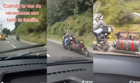 Joven coloca un cochecito en su moto para viajar con sus perros y no dejarlos solos en casa