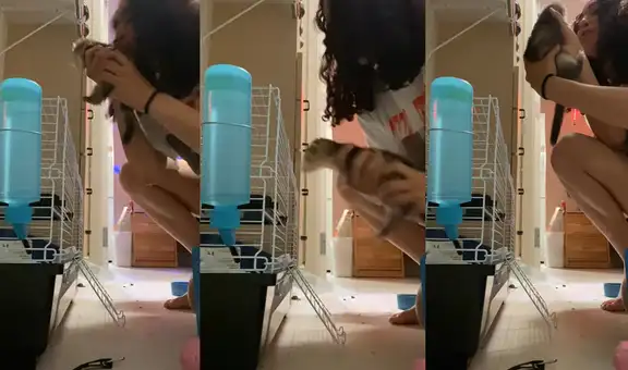 Mujer mimaba a su hurón cuando accidentalmente golpeó la cabeza de su mascota