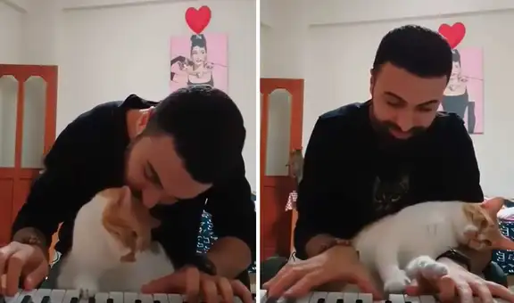 Joven le dedica una romántica melodía a su gatita y esta se emociona al escucharla