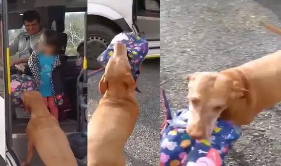 Perrita tiene adorable reacción al ver que la hija de su dueña vuelve a casa