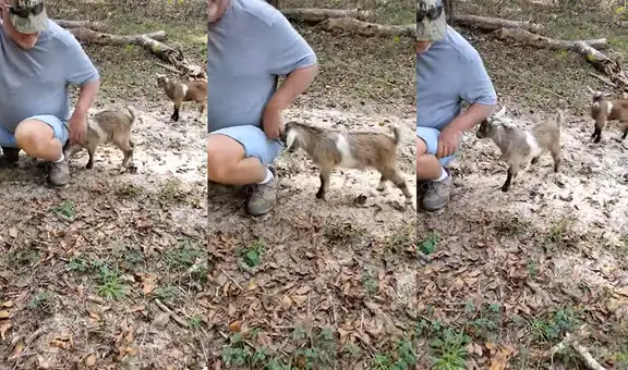 Hombre protagoniza una tierna disputa con su pequeño chivo y escena cautiva en redes