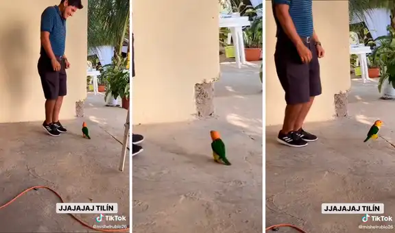 Loro salta al mismo ritmo que su dueño y escenas se vuelven virales