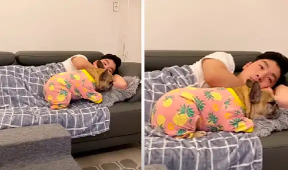 Perrito se coloca al lado de su dueño para tomar una siesta junto a él