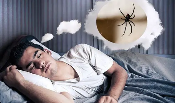 ¿Qué significa soñar con arañas? ¿Será una mala señal?