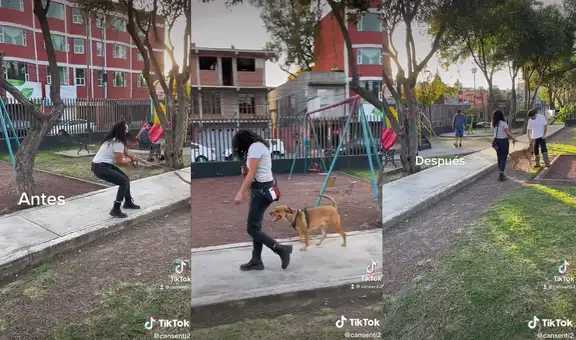 Joven enseña ejercicios para ayudar a controlar las emociones de su perrito