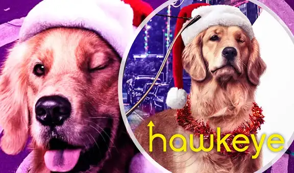 Hawkeye, estreno: ¿qué le pasó en el ojo al tierno Lucky, el perro Pizza?