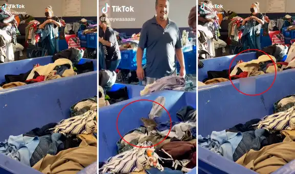 Rata sorprende a clientes al esconderse dentro de los contenedores de ropa