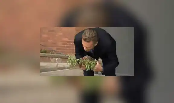 Tortuga inaugura el laboratorio de ciencias en una universidad y divierte en redes