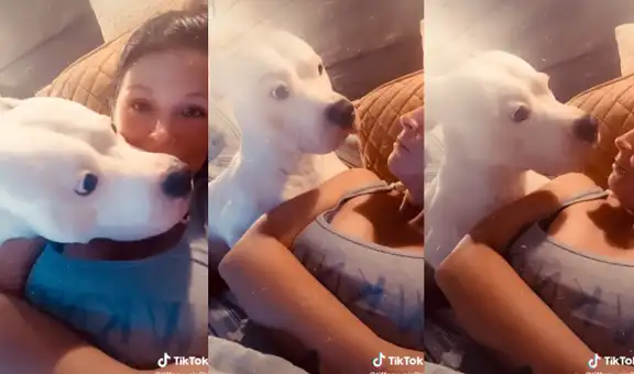 Joven realiza el reto ‘ladra a tu perro’ y respuesta del can genera risas en las redes