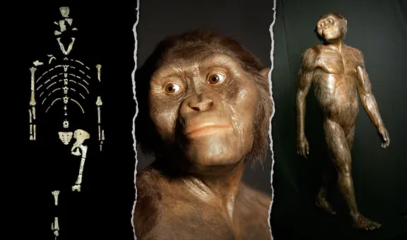 Lucy, la ‘madre de la humanidad’, cumple 47 años tras su descubrimiento