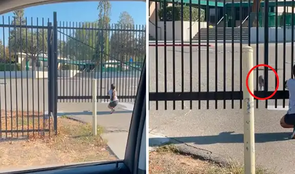 Gatita corre a los brazos de su dueña tras reencontrarse con ella después de dos meses