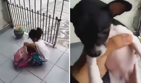 Padre descubre que su hija metió a su perrito a la mochila para que la acompañe al colegio