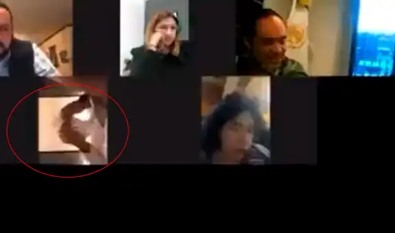 Diputado pasa incómodo momento al ingresar al baño y olvidar apagar la cámara del celular