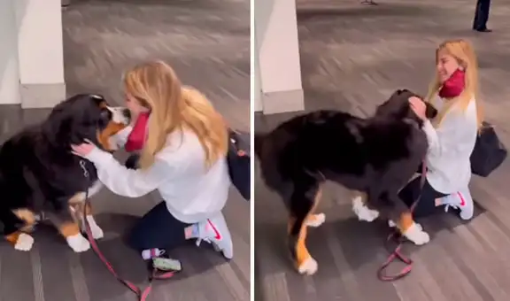 Perro acude al aeropuerto y se alegra al reencontrarse con su dueña después de meses 