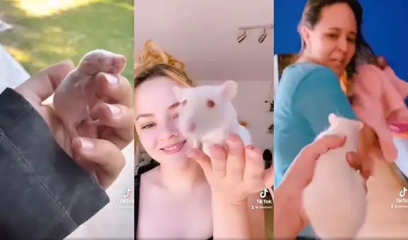 Joven asusta a su familia con su rata y enseña las ventajas de tenerla como mascota