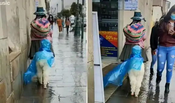 Mujer cuida a su alpaca para que no se moje con la lluvia y la viste con un poncho impermeable