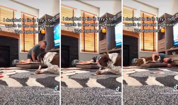Perrita protagoniza tierna reacción al ver a su cuidador acostado sobre su cama