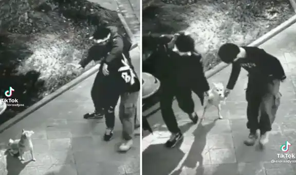 Jóvenes detienen su paseo para invitar a un perro a bailar en medio de la calle