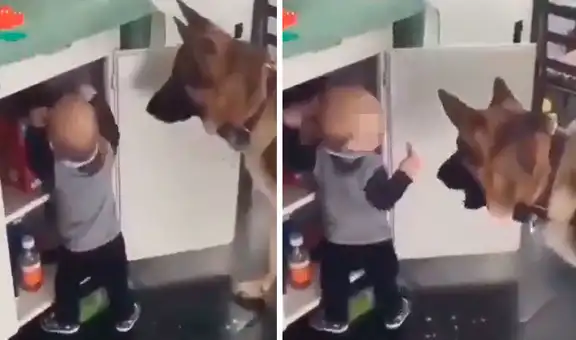 Madre descubre que su bebé y su perro se unieron para coger unas galletas sin permiso