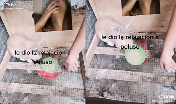 Mujer le entrega alimento a su conejo, pero este le hace saber que no quiere comer